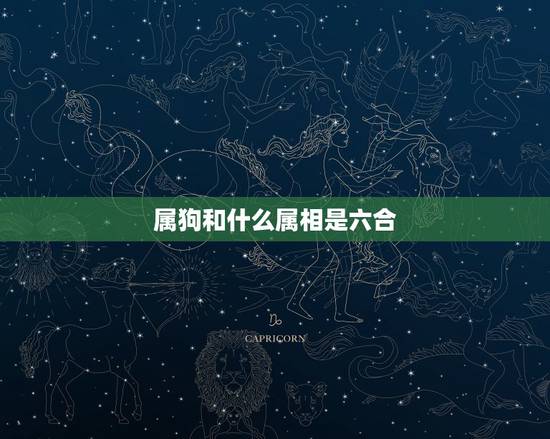 属狗和什么属相是六合,属狗的和属什么的最合 属狗和什么属相是六合,属狗的和属什么的最合