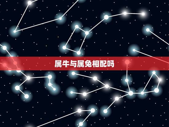 属牛与属兔相配吗，牛和兔可以在一起吗