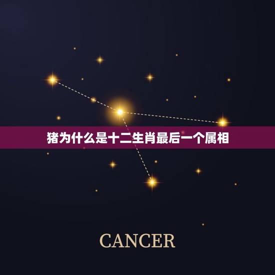 猪为什么是十二生肖最后一个属相，为什么十二生肖中猪是最后一个