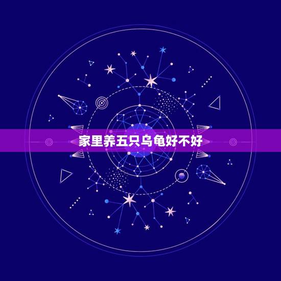 家里养五只乌龟好不好，家里养乌龟一般养几只