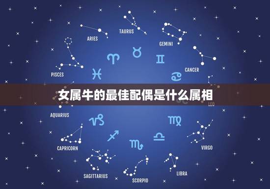 女属牛的最佳配偶是什么属相，属牛的最佳配偶