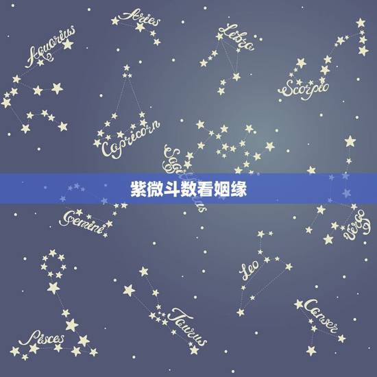 紫微斗数看姻缘,紫微斗数大师给我看看姻缘和事业! 紫微斗数看姻缘,紫微斗数大师给我看看姻缘和事业!