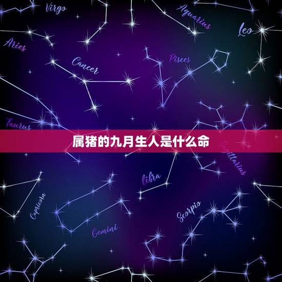 属猪的九月生人是什么命，九月出生是什么命