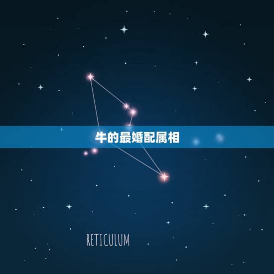 牛的最婚配属相，属牛的和什么属相最配