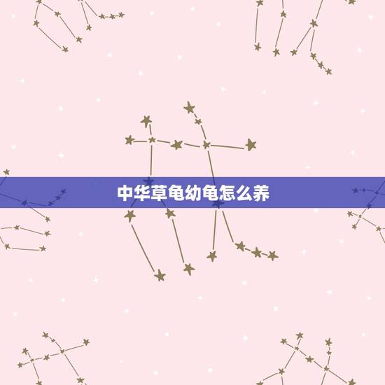 中华草龟幼龟怎么养,中华草龟怎么养? 中华草龟幼龟怎么养,中华草龟怎么养?