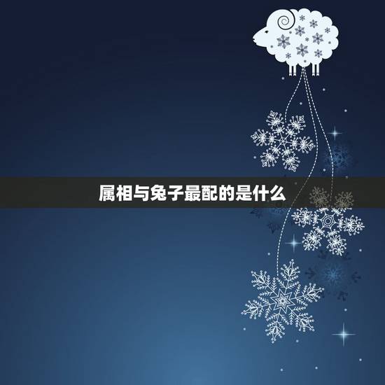 属相与兔子最配的是什么,属兔和什么属相比较相配 属相与兔子最配的是什么,属兔和什么属相比较相配