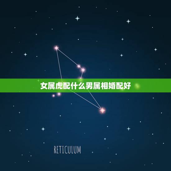 女属虎配什么男属相婚配好,属虎的女人和什么属相最配 女属虎配什么男属相婚配好,属虎的女人和什么属相最配
