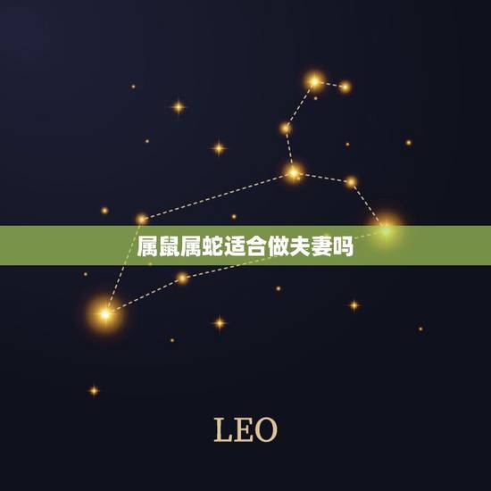 属鼠属蛇适合做夫妻吗，蛇男鼠女婚配会相克吗