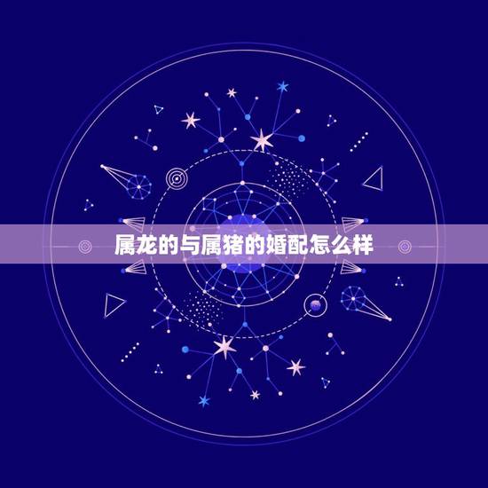 属龙的与属猪的婚配怎么样，属龙人命中注定的另一半
