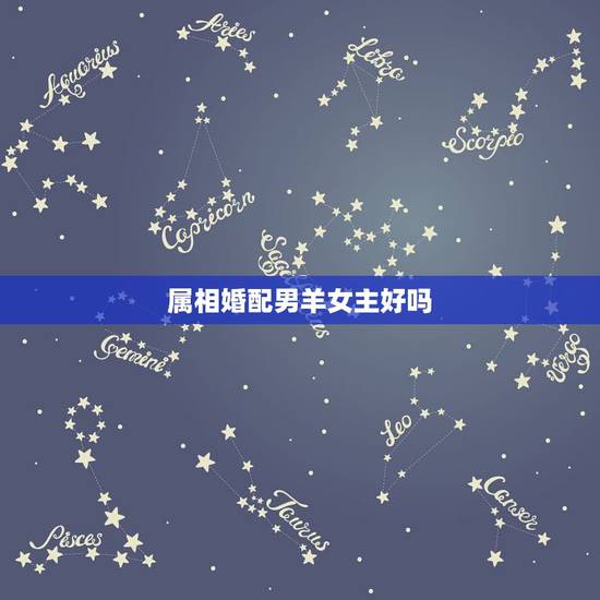 属相婚配男羊女主好吗,属相男羊(1979年2月11日)与属相女羊(19 属相婚配男羊女主好吗,属相男羊(1979年2月11日)与属相女羊(19