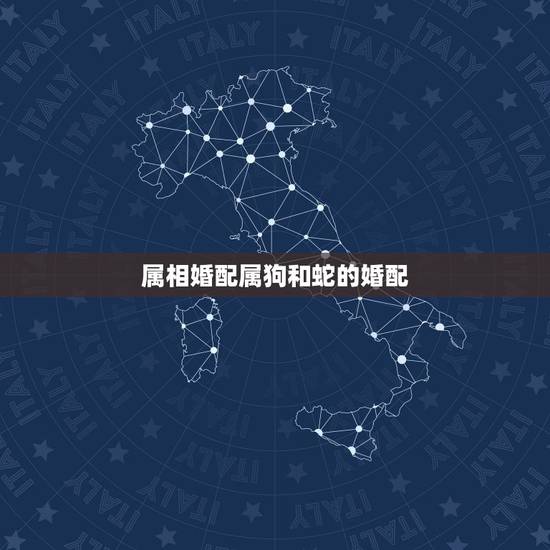 属相婚配属狗和蛇的婚配,生肖属狗的能与哪些属相婚配 属相婚配属狗和蛇的婚配,生肖属狗的能与哪些属相婚配