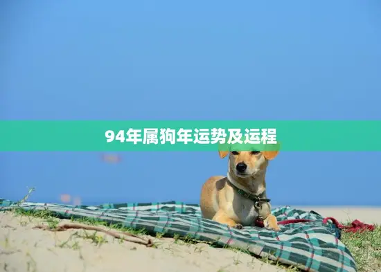 94年属狗年运势及运程(狗年旺财运事业顺利但需注意健康问题)
