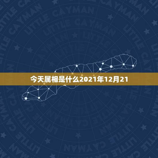 今天属相是什么2021年12月21,2021年今天属相是什么 今天属相是什么2021年12月21,2021年今天属相是什么