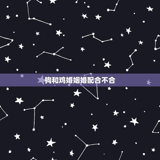 狗和鸡婚姻婚配合不合,鸡和狗结为夫妻合吗 狗和鸡婚姻婚配合不合,鸡和狗结为夫妻合吗