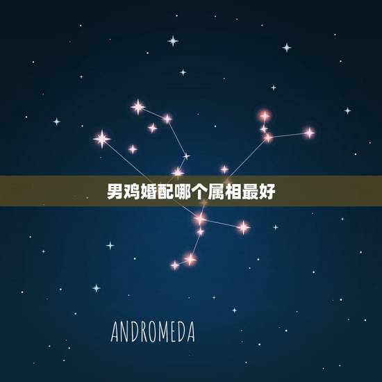 男鸡婚配哪个属相最好 男鸡婚配哪个属相最好