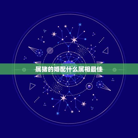 属猪的婚配什么属相最佳，95年属猪的婚配和什么属相最好