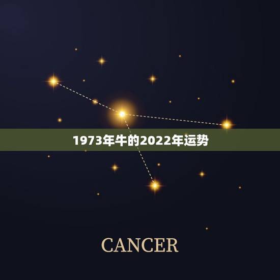 1973年牛的2022年运势,2022年属牛人的全年运势 1973年牛的2022年运势,2022年属牛人的全年运势
