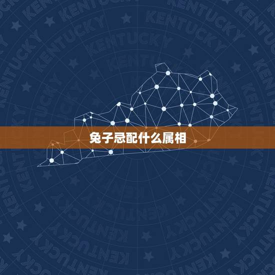 兔子忌配什么属相,属兔的三大忌配生肖 兔子忌配什么属相,属兔的三大忌配生肖
