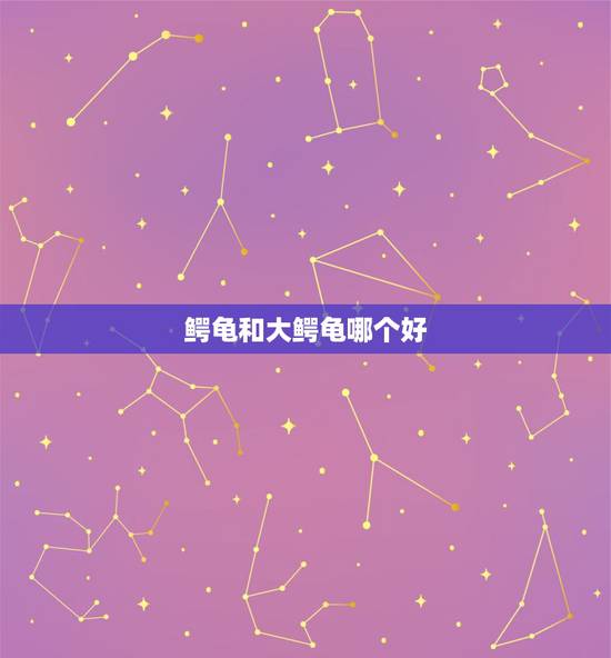 鳄龟和大鳄龟哪个好，鳄龟如何养吃什么