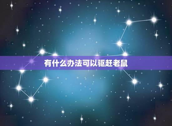 有什么办法可以驱赶老鼠，终于抓到老鼠后的说说