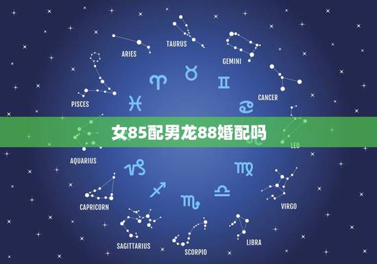 女85配男龙88婚配吗,1988年属龙的人和1985年属牛的人的婚配 女85配男龙88婚配吗,1988年属龙的人和1985年属牛的人的婚配