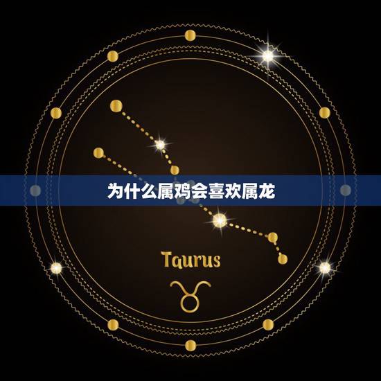 为什么属鸡会喜欢属龙,属龙属鸡在一起生财 为什么属鸡会喜欢属龙,属龙属鸡在一起生财