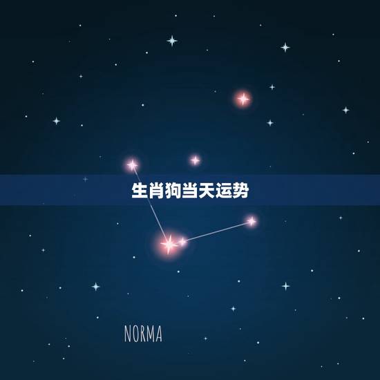 生肖狗当天运势，明天对属狗人的运势