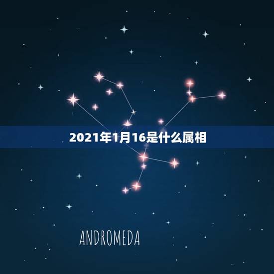 2021年1月16是什么属相，2021年太岁犯什么属相