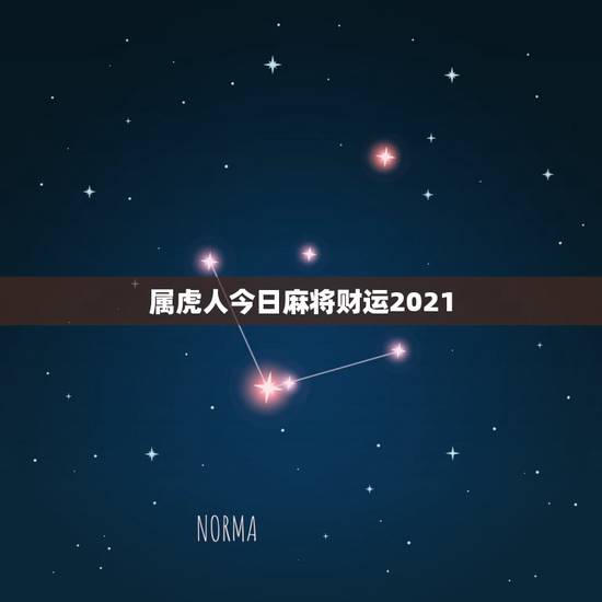 属虎人今日麻将财运2021，2021属马人打麻将财运