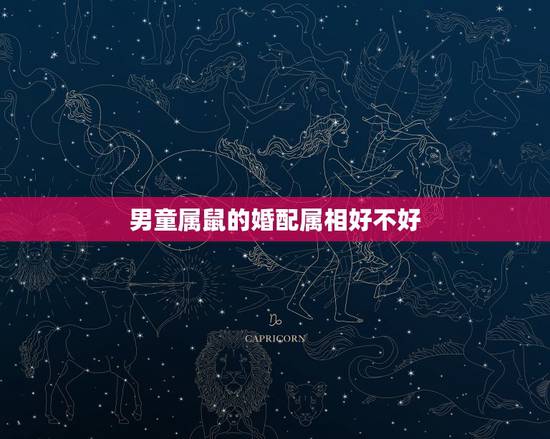 男童属鼠的婚配属相好不好，属鼠的跟什么属相结婚好？