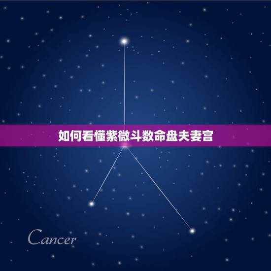 如何看懂紫微斗数命盘夫妻宫,求紫薇命盘的夫妻宫分析 如何看懂紫微斗数命盘夫妻宫,求紫薇命盘的夫妻宫分析