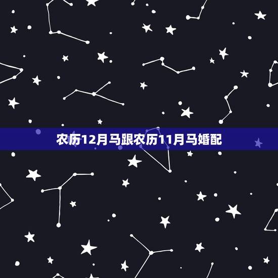 农历12月马跟农历11月马婚配,属马的和什么属相最相配 12属相婚配表 农历12月马跟农历11月马婚配,属马的和什么属相最相配 12属相婚配表