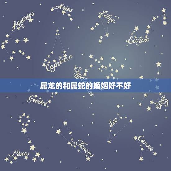 属龙的和属蛇的婚姻好不好,属蛇跟属龙的婚姻状况 属龙的和属蛇的婚姻好不好,属蛇跟属龙的婚姻状况