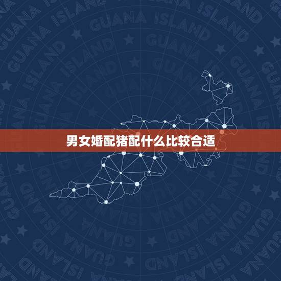 男女婚配猪配什么比较合适，属相猪和什么配最佳