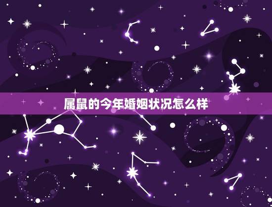 属鼠的今年婚姻状况怎么样，属鼠的人的命运，事业财运，以及婚姻状况是怎样