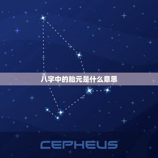 八字中的胎元是什么意思,胎元命宫身宫断命 八字中的胎元是什么意思,胎元命宫身宫断命