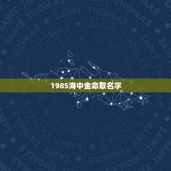 1985海中金命取名字，海中金命，求高人起个名字！