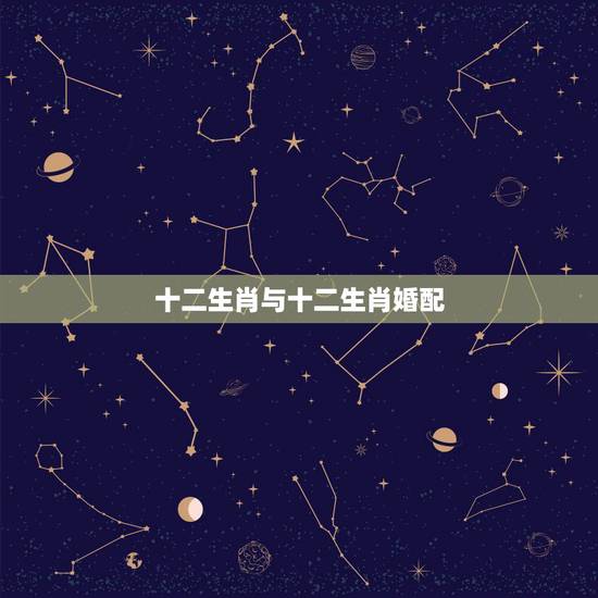 十二生肖与十二生肖婚配 十二生肖最佳姻缘配对 十二生肖与十二生肖婚配 十二生肖最佳姻缘配对