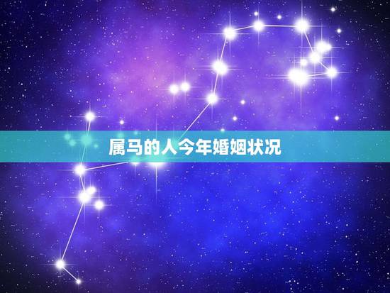 属马的人今年婚姻状况，中国婚姻状况调查