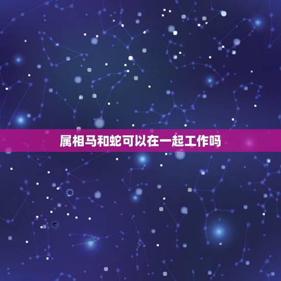 属相马和蛇可以在一起工作吗，蛇和马属相合不合