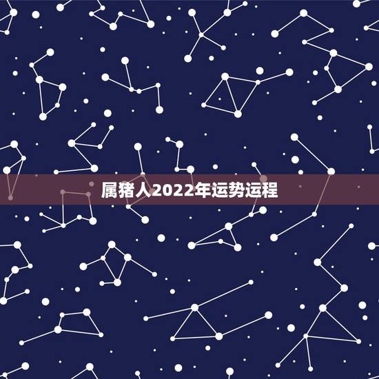 属猪人2022年运势运程，2022年属猪运势完整版