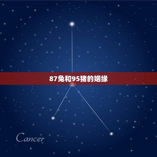87兔和95猪的姻缘，1995年女配1987年男不