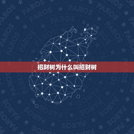 招财树为什么叫招财树,发财树为什么叫发财树 招财树为什么叫招财树,发财树为什么叫发财树