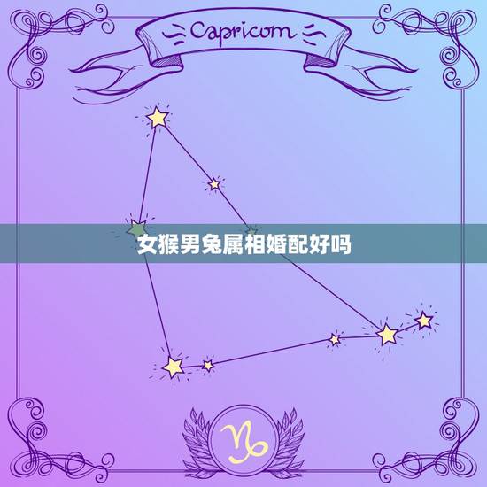 女猴男兔属相婚配好吗，属兔男跟属猴女相配好吗？