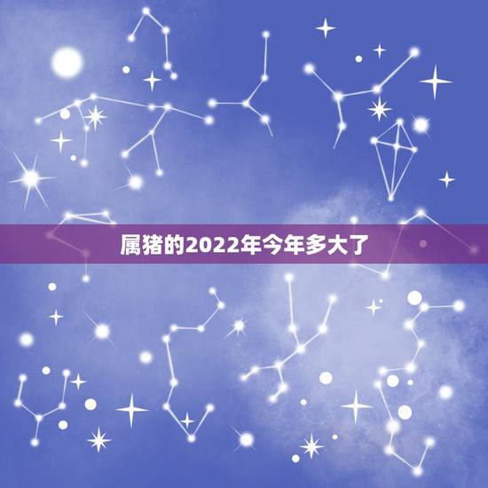 属猪的2022年今年多大了，2022年最倒霉的生肖女