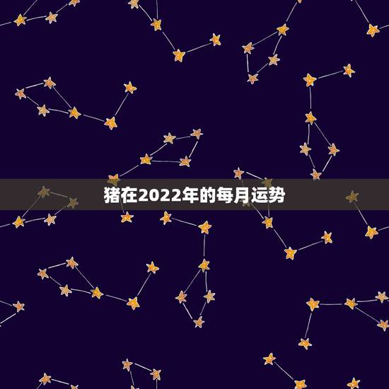 猪在2022年的每月运势，7|年属猪男2021年的每月运势？
