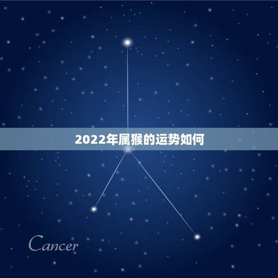 2022年属猴的运势如何，属猴人2022年运势及财运
