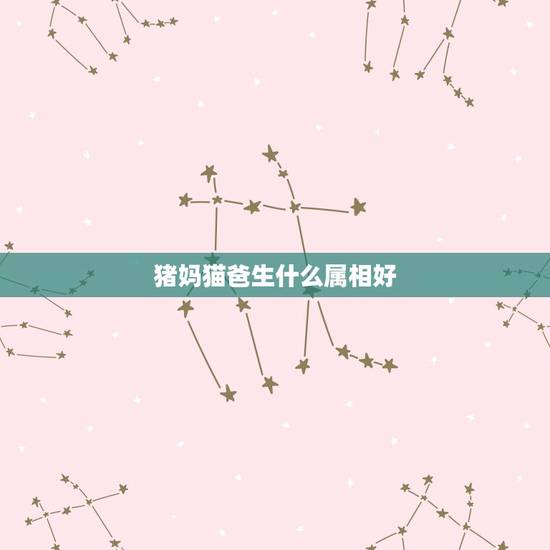 猪妈猫爸生什么属相好,属猪的人生什么属相的宝贝好? 猪妈猫爸生什么属相好,属猪的人生什么属相的宝贝好?