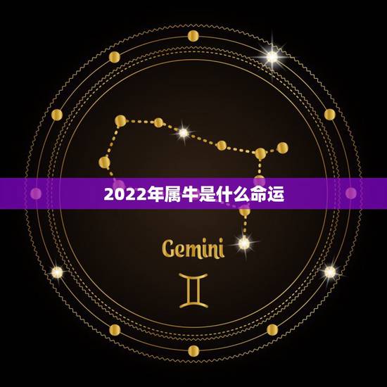2022年属牛是什么命运，属牛2022年运势及运程女性