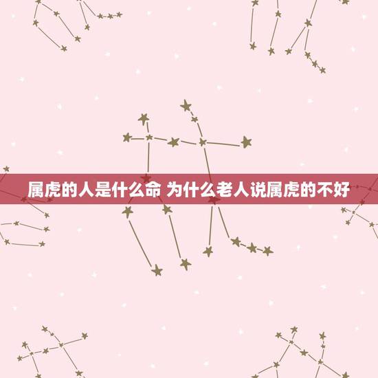 属虎的人是什么命 为什么老人说属虎的不好